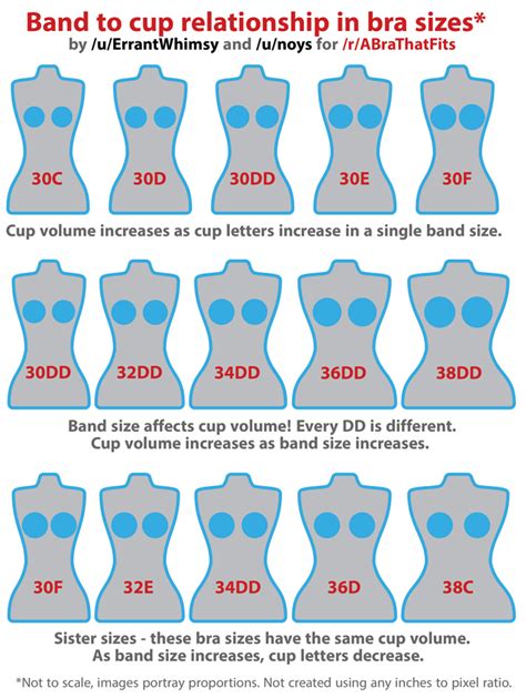 e cup|e cup breast example.